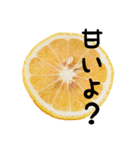 みかん断面スタンプ（個別スタンプ：2）