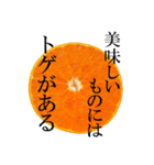 みかん断面スタンプ（個別スタンプ：3）