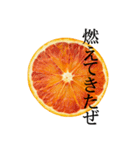 みかん断面スタンプ（個別スタンプ：4）