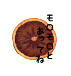 みかん断面スタンプ（個別スタンプ：7）