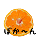 みかん断面スタンプ（個別スタンプ：9）