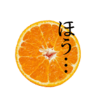 みかん断面スタンプ（個別スタンプ：17）