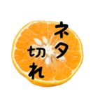 みかん断面スタンプ（個別スタンプ：19）