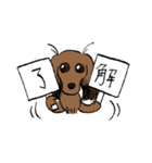 不思議犬ダイヤ（個別スタンプ：4）