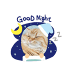 猫で遊んでごめんなさい。（個別スタンプ：7）