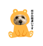 ピンク鼻のトイプーくうちん②（個別スタンプ：3）