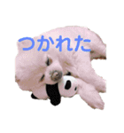 ムク2（個別スタンプ：5）