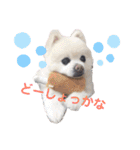 ムク2（個別スタンプ：6）