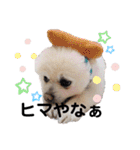 ムク2（個別スタンプ：8）