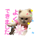 ムク2（個別スタンプ：23）