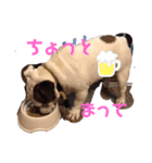瀧治郎だブル（個別スタンプ：6）