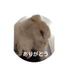 ねこたスタンプNo.2（個別スタンプ：2）