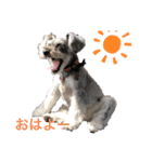 セイディーだよ（個別スタンプ：4）