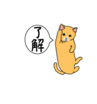 動く！アクロバティックねこ [毎日使える編]（個別スタンプ：2）