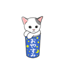 動く！アクロバティックねこ [毎日使える編]（個別スタンプ：6）