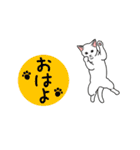 動く！アクロバティックねこ [毎日使える編]（個別スタンプ：8）