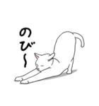 動く！アクロバティックねこ [毎日使える編]（個別スタンプ：9）