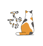 動く！アクロバティックねこ [毎日使える編]（個別スタンプ：24）