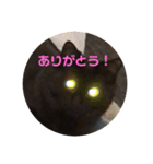 ネゴのお願い！（個別スタンプ：2）