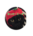 ネゴのお願い！（個別スタンプ：3）
