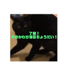 ネゴのお願い！（個別スタンプ：5）