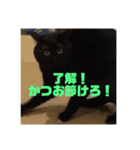 ネゴのお願い！（個別スタンプ：6）