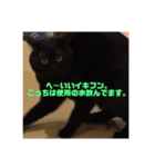 ネゴのお願い！（個別スタンプ：7）