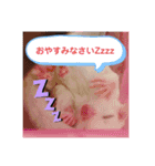 フクロモモンガの日常①（個別スタンプ：4）