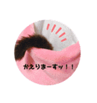 フクロモモンガの日常①（個別スタンプ：8）