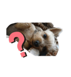 にこちゃんのすたんぷ。（個別スタンプ：3）