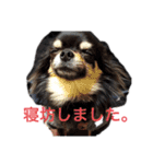 おうすけ さら（個別スタンプ：8）