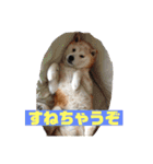 ギンと遊んでね（個別スタンプ：7）