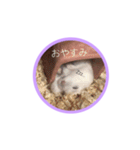 あんちゃんスタスタ（個別スタンプ：3）