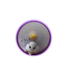 あんちゃんスタスタ（個別スタンプ：11）