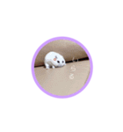 あんちゃんスタスタ（個別スタンプ：13）