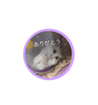 あんちゃんスタスタ（個別スタンプ：20）