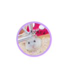 あんちゃんスタスタ（個別スタンプ：21）