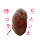 困り猫まつこ2（個別スタンプ：15）