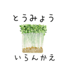 やさい いらんかえ（大分弁）（個別スタンプ：9）