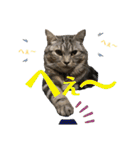 CATS. げんとコスモ（個別スタンプ：23）