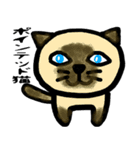 普段に使える猫スタンプ（個別スタンプ：1）