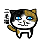 普段に使える猫スタンプ（個別スタンプ：2）