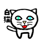 普段に使える猫スタンプ（個別スタンプ：4）