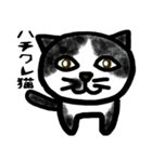 普段に使える猫スタンプ（個別スタンプ：10）