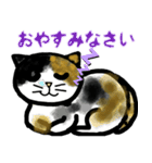 普段に使える猫スタンプ（個別スタンプ：12）