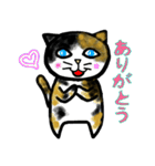 普段に使える猫スタンプ（個別スタンプ：13）