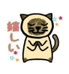 普段に使える猫スタンプ（個別スタンプ：17）