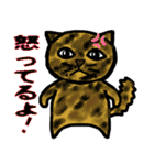 普段に使える猫スタンプ（個別スタンプ：20）