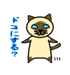 普段に使える猫スタンプ（個別スタンプ：22）