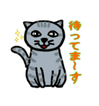 普段に使える猫スタンプ（個別スタンプ：24）